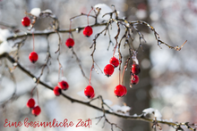 Winterliches Foto mit roten Beeren an kahlen Zweigen